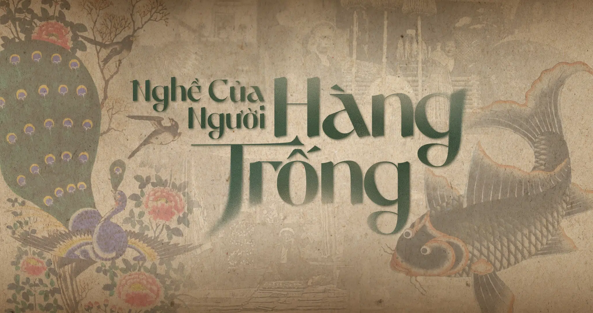 cover-hangtrong1.webp